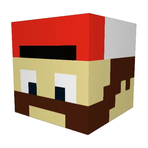 Schommer_ Minecraft avatar head, 3D render