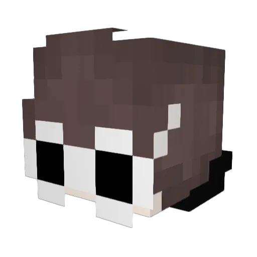 SchoolBoiQG Minecraft avatar head, 3D render
