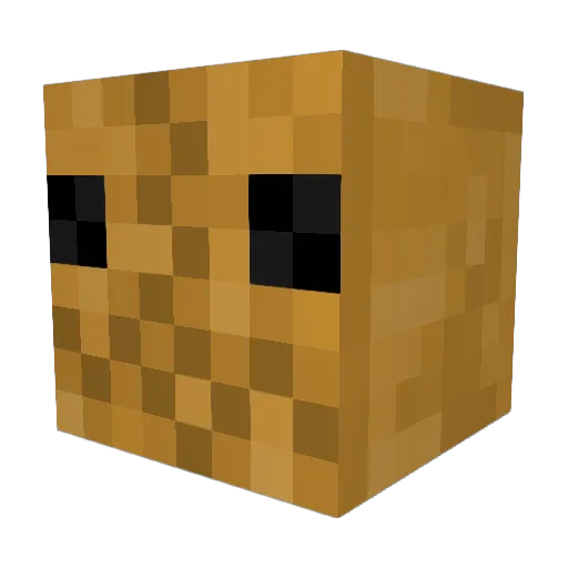 SchoolBoyZay Minecraft avatar head, 3D render