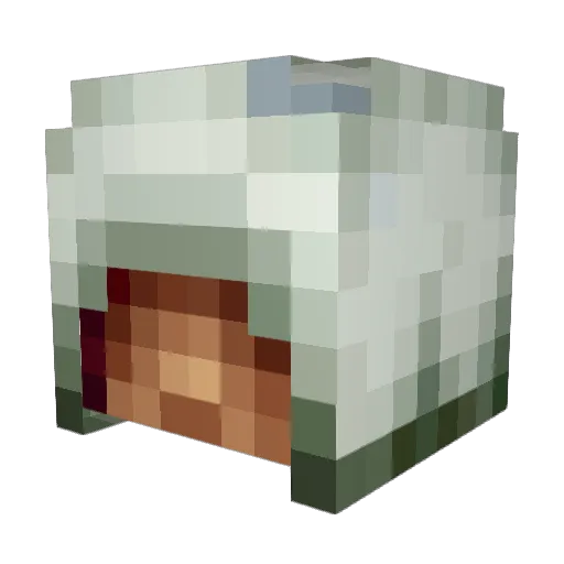 Schooter445 Minecraft avatar head, 3D render