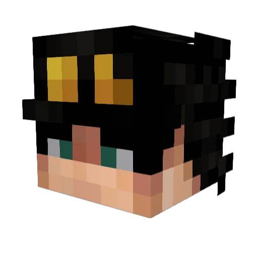 Schpp0 Minecraft avatar head, 3D render