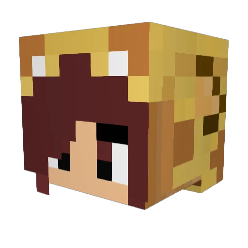 Schraml13 Minecraft avatar head, 3D render