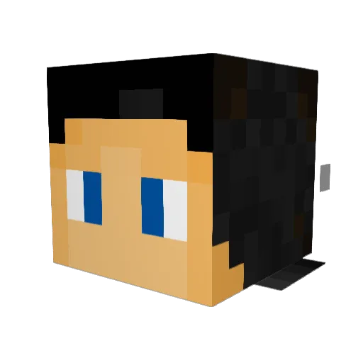 Schrippi Minecraft avatar head, 3D render