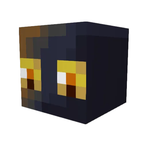 Schrodinger7 Minecraft avatar head, 3D render