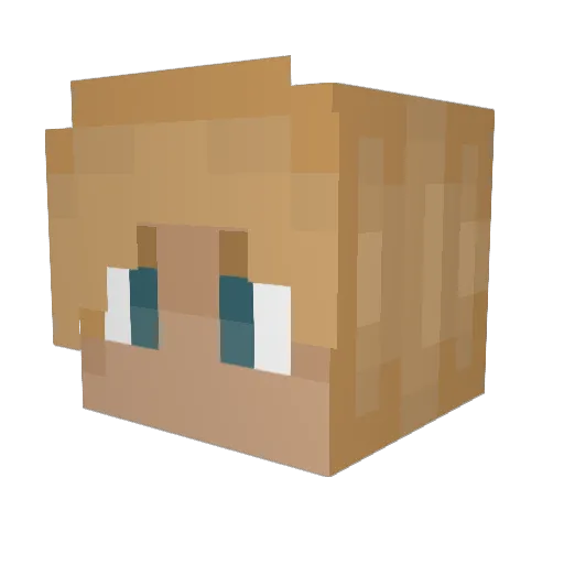 Schroeder_Jung Minecraft avatar head, 3D render