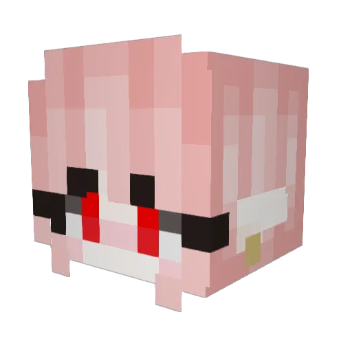 Schroedimby Minecraft avatar head, 3D render