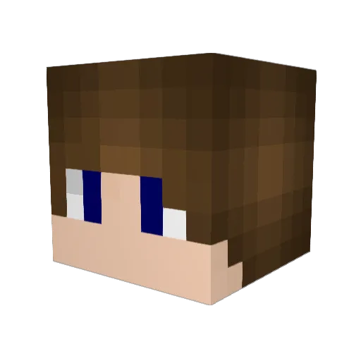 Schrubbi Minecraft avatar head, 3D render