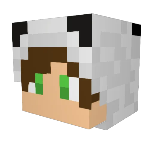 Schrueber Minecraft avatar head, 3D render