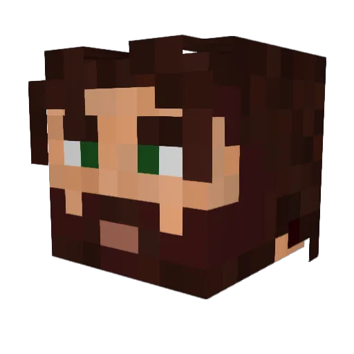 Schubert Minecraft avatar head, 3D render
