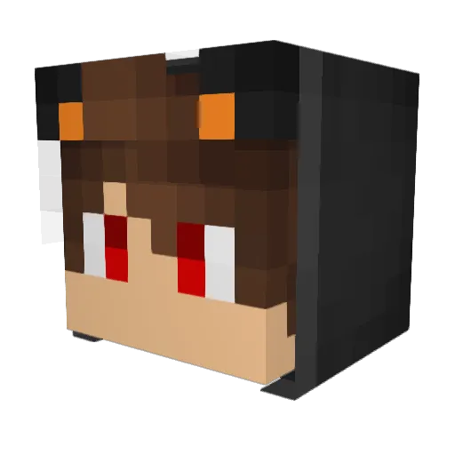 Schuetze005 Minecraft avatar head, 3D render