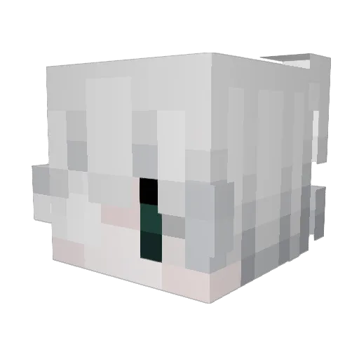 Schulden Minecraft avatar head, 3D render
