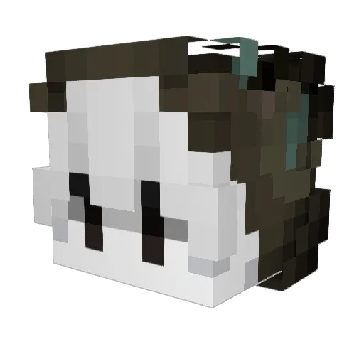 Schultag Minecraft avatar head, 3D render