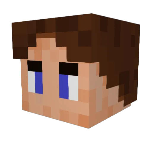 Schumi22 Minecraft avatar head, 3D render