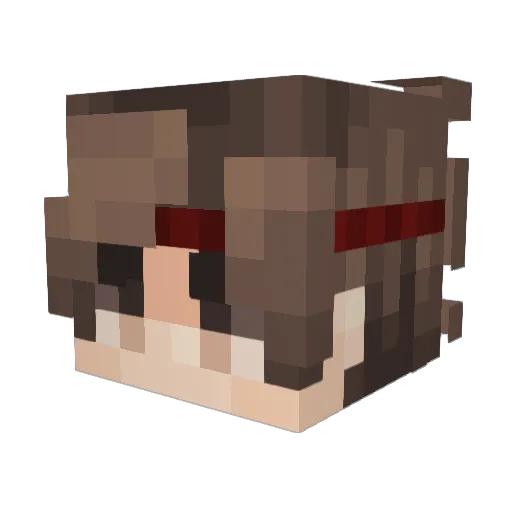Schw_ng Minecraft avatar head, 3D render