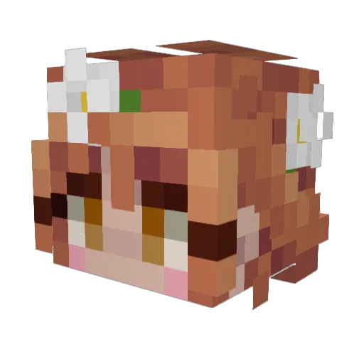 Schwabbelloui Minecraft avatar head, 3D render