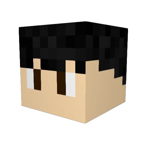 Schwabel1 Minecraft avatar head, 3D render