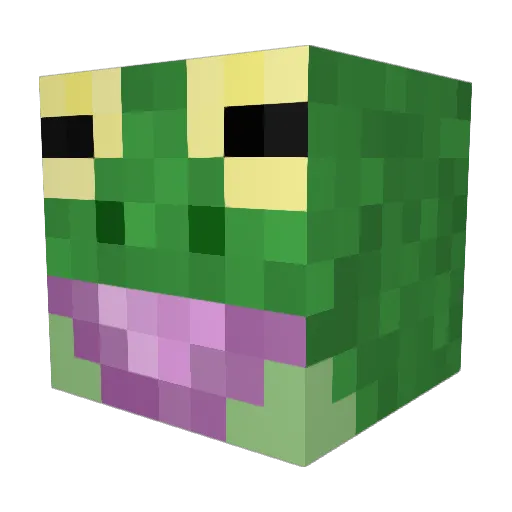 Schwagli Minecraft avatar head, 3D render