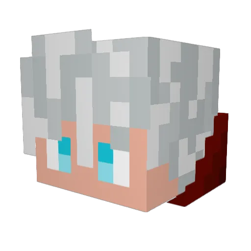 Schwanexx Minecraft avatar head, 3D render