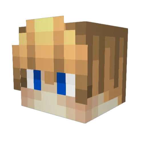 Schwartiful Minecraft avatar head, 3D render