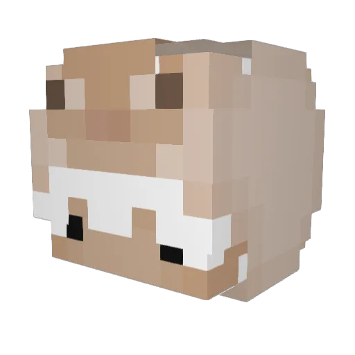 Schwarz_now Minecraft avatar head, 3D render