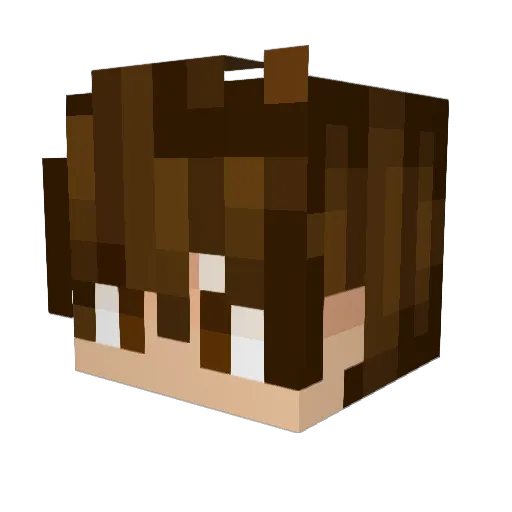 Schwarze_Garde Minecraft avatar head, 3D render