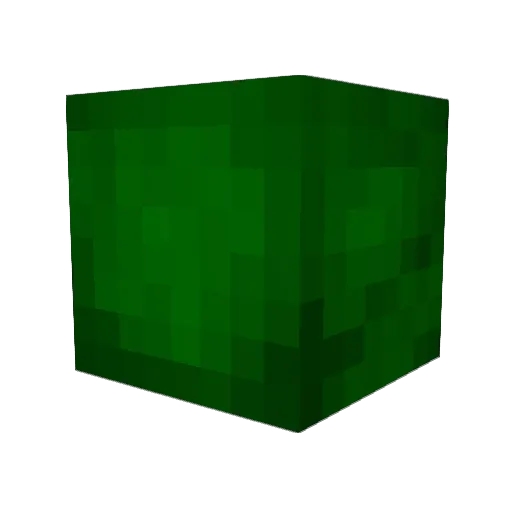 Schwarzerle Minecraft avatar head, 3D render