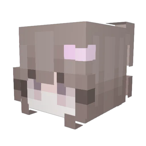 Schwarzll Minecraft avatar head, 3D render