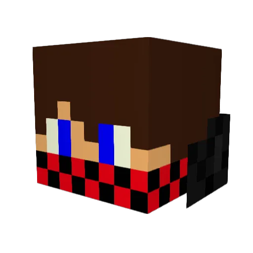 Schwax Minecraft avatar head, 3D render