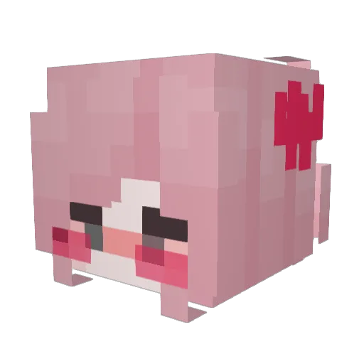SchweineFreundin Minecraft avatar head, 3D render