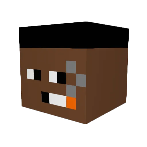SchweineSlayer34 Minecraft avatar head, 3D render