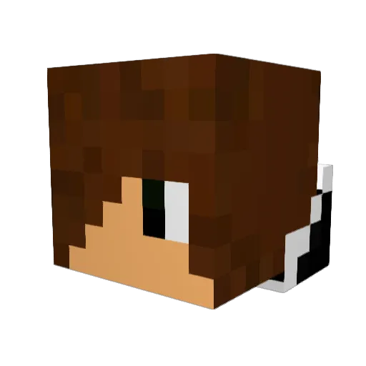 Schweinsen Minecraft avatar head, 3D render