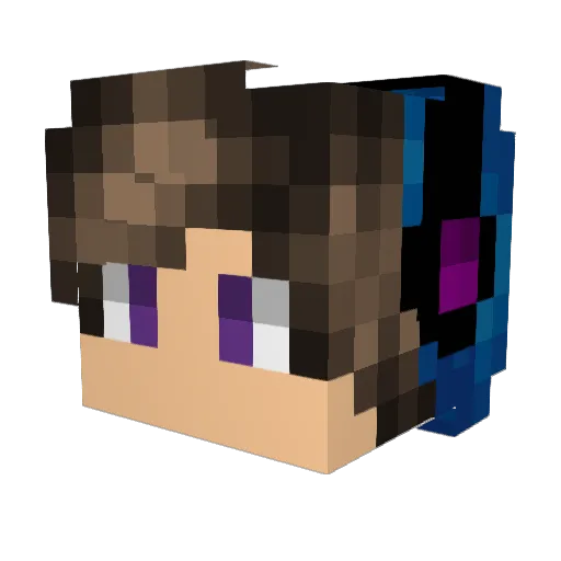 Schweintim Minecraft avatar head, 3D render