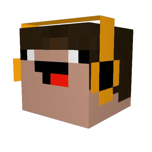 Schwepes11 Minecraft avatar head, 3D render