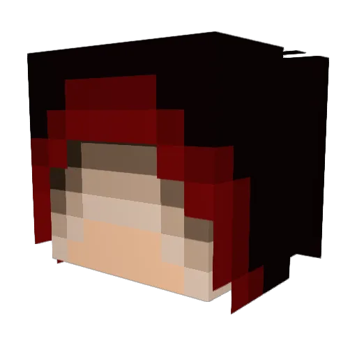 Schweppes1073 Minecraft avatar head, 3D render