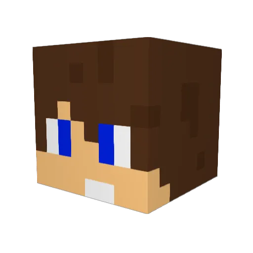 Schweppsss Minecraft avatar head, 3D render