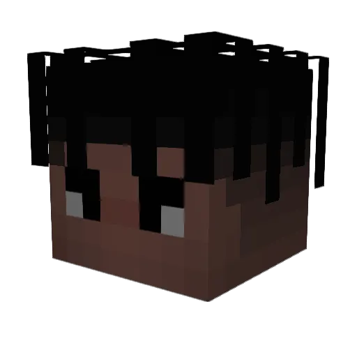 Schwerbis Minecraft avatar head, 3D render