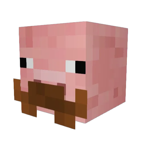 Schwerner Minecraft avatar head, 3D render