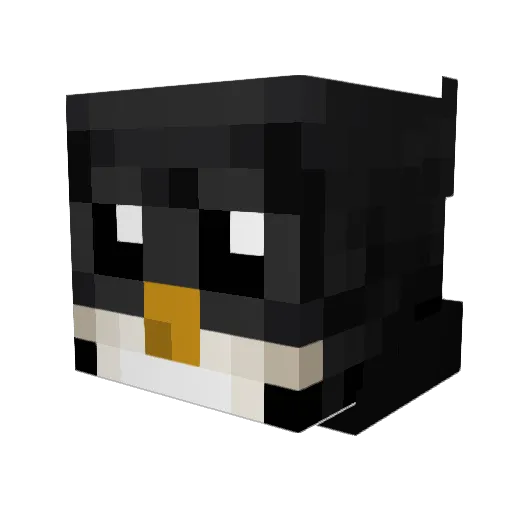 SchwesterTester2 Minecraft avatar head, 3D render
