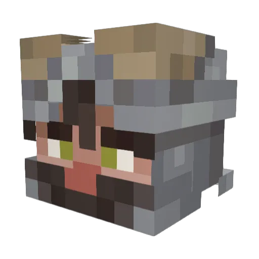 Schwobbl Minecraft avatar head, 3D render