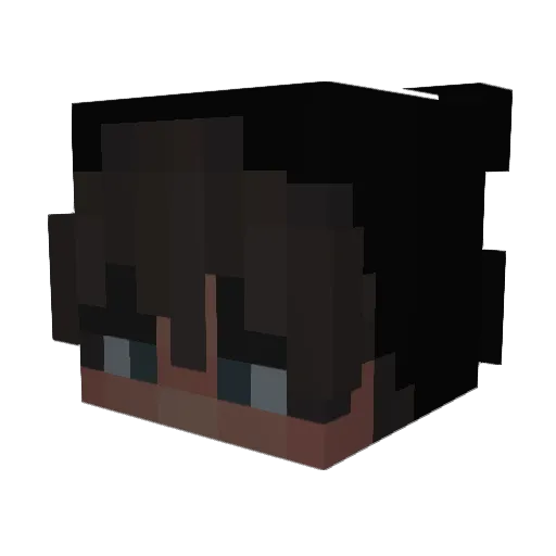 Schwomi Minecraft avatar head, 3D render