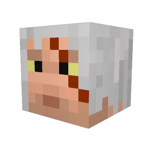 SciFiNova Minecraft avatar head, 3D render