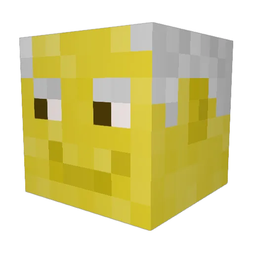 Scierwojad3 Minecraft avatar head, 3D render