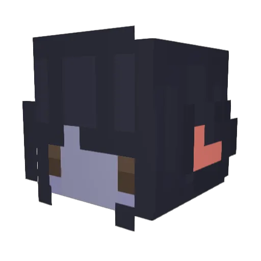 Scilentanarchy Minecraft avatar head, 3D render