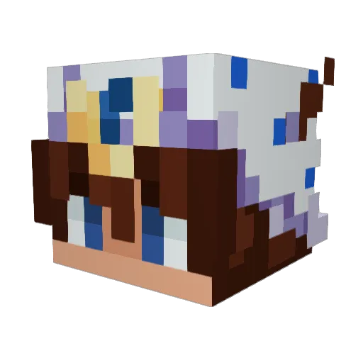 Scinaxx Minecraft avatar head, 3D render