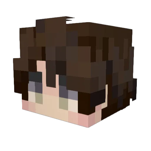 Scio202 Minecraft avatar head, 3D render