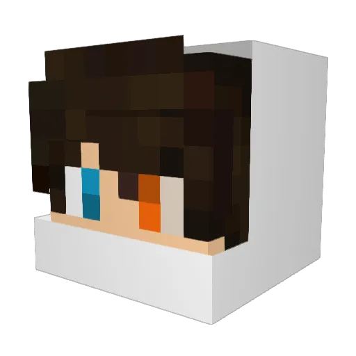 Sck1407 Minecraft avatar head, 3D render