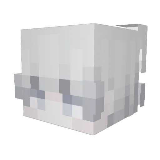 Sck918 Minecraft avatar head, 3D render