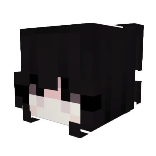 Scko Minecraft avatar head, 3D render