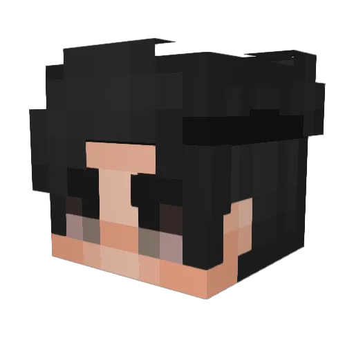 Sclout Minecraft avatar head, 3D render