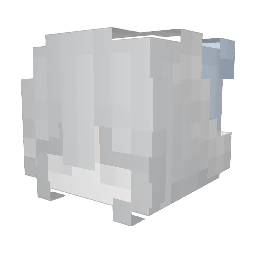 Scoax Minecraft avatar head, 3D render